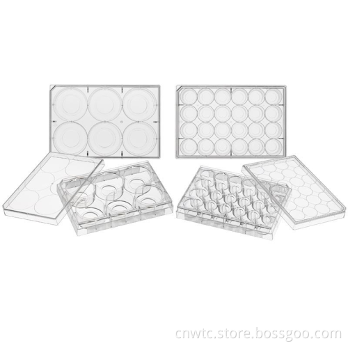 Search Engine Title: Tissue Culture Lab Supplies - 96 Well & 6 Well TC Treated Plates